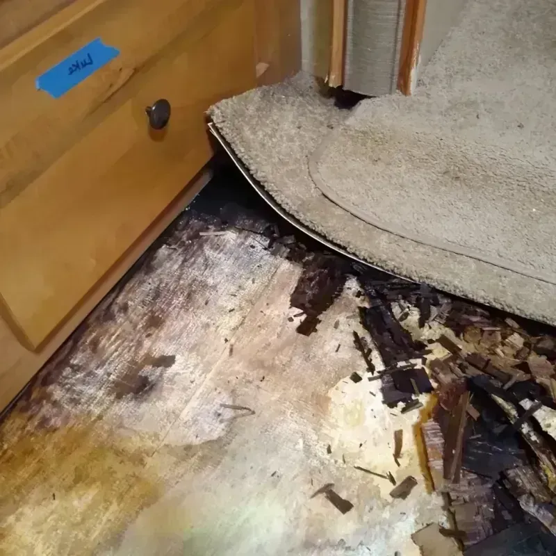 Wood Floor Water Damage in Naranja, FL